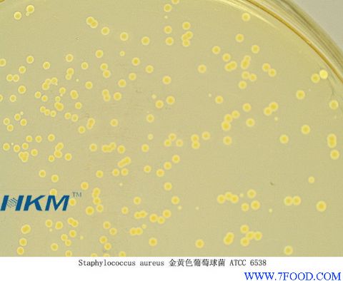 品牌:环凯 规格/型号:024078  菌落计数琼脂平板用于出口食品细菌总数