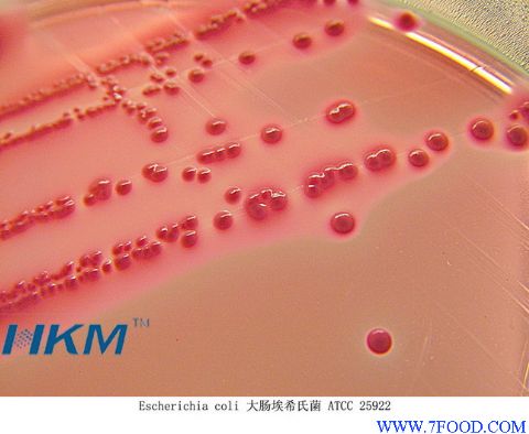 麦康凯琼脂平板(024076)-广东环凯微生物科技