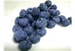 蓝莓表面的白霜是农药？