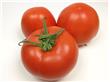 西红柿中富含什么 西红柿的营养价值