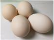 艾叶红糖煮鸡蛋的功效与作用