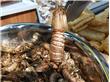 皮皮虾学名虾蛄 皮皮虾的营养介绍