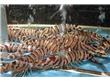 秋季海产品货源充足 螃蟹、基围虾价格亲民