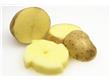 土豆的营养价值有哪些