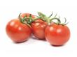 西红柿价格翻倍 新发地调运蔬菜保障供应