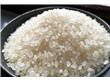 粳米期货上市 将稳定粳米乃至大米价格