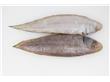 开春第一鲜就吃“开凌梭” 本地梭鱼在3月中下旬大量上市