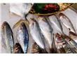 长江刀鱼今年禁捕 可市场仍在叫卖