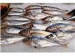 下月起厦门海域休渔 冰鲜水产品、养殖鱼类将填补市场空缺