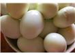 禽蛋种类多营养差异有几何