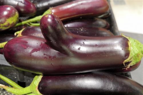 紫椒： 含较多的维生素 C、抗氧化物质，能预防癌症与慢性病。