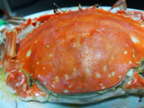 鲜海蟹子