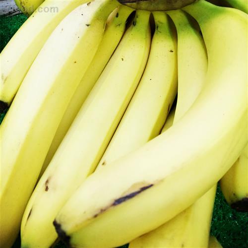香蕉的功效和食用禁忌_保健功效_食品常识