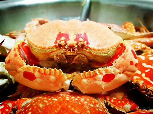 螃蟹蒸多长时间熟。
