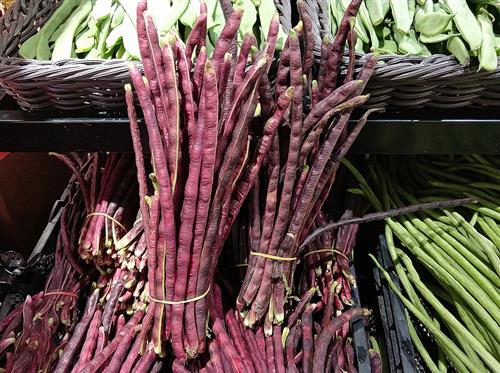 紫红豇豆
