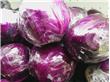 紫包菜的营养价值