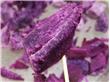 紫薯红薯营养比拼
