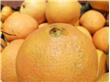 染色柑橘的危害和辨别方法
