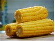 玉米减肥有效吗 玉米延缓衰老的功效