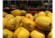 什么是芒果过敏 为什么吃芒果会引起过敏