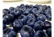 蓝莓上的白霜能吃吗？