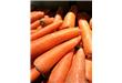 胡萝卜被称为“小人参”，对人体有7个好处，但食用时需注意一点