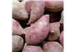紫薯的功效和食用方法及禁忌