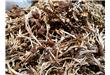 茶树菇的功效与作用以及营养价值