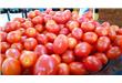 小西红柿的营养价值及吃法