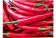 吃辣椒的好处有哪些 辣椒的营养及功效