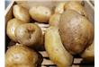 土豆经常吃 你知道土豆的功效有哪些吗