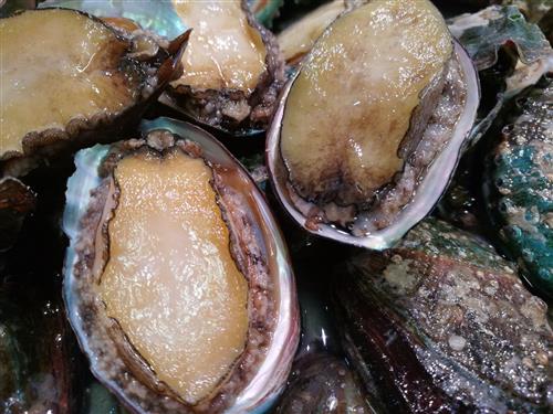 十种食物堪比伟哥:牡蛎有利于精子生成(2)