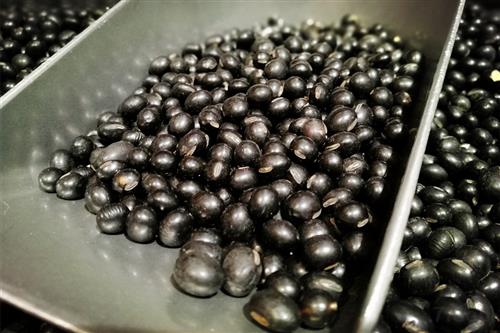 黑豆——健脑力