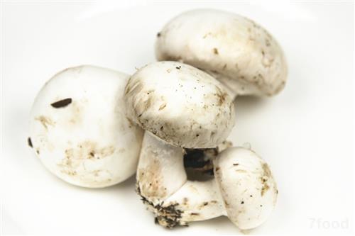 蘑菇——预防肿瘤