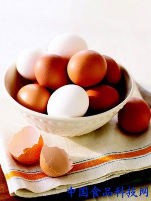 过量吃鸡蛋