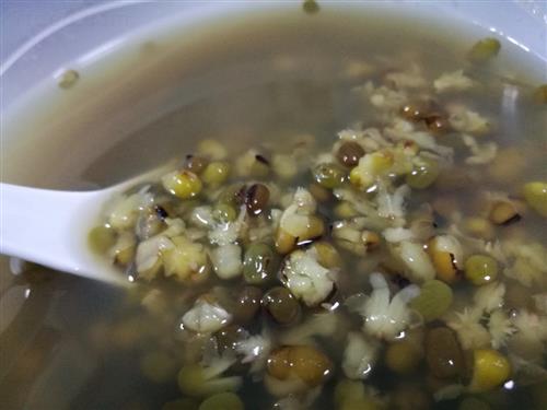 养生需知:绿豆汤清热解暑 三类人决不能喝(3)