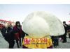 郑州600公斤巨型饺子亮相