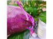 紫薯是抗癌明星食物 紫薯功效和吃法推荐