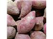 红薯和紫薯的区别