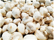 小鸡炖蘑菇营养高 冬季多吃食用菌营养高