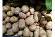 秋季土豆大量上市 食用土豆有什么好处