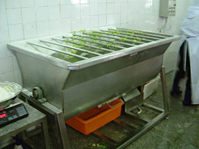 供应蔬菜搅拌机