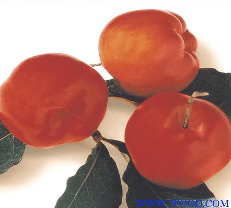 天然针叶樱桃粉Acerola_产品(价格、厂家)信息