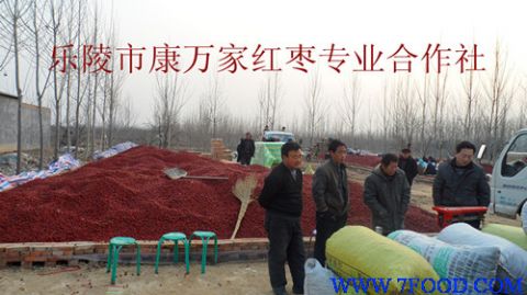 新疆红枣供应加工
