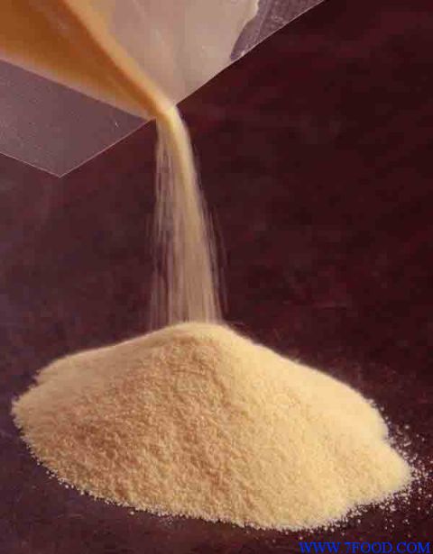 新资源食品玉米低聚肽粉
