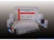 鸡禽流感病毒H9亚型抗体检测试剂盒