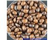 优质烘焙咖啡豆（创健603型咖啡豆）