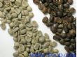 印尼原产咖啡豆托拉甲