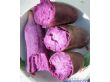 紫薯苗价格