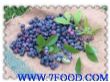 蓝莓种苗蓝莓种植蓝莓种苗技术